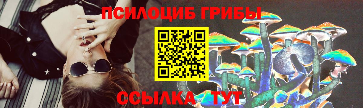 Георгиевск  Псилоцибиновые грибы Psilocybine cubensis  Вход с VPN 